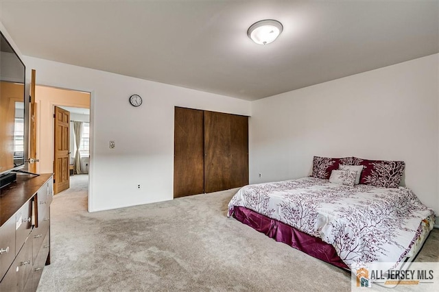 7402 Hana Rd, Edison, NJ 08817 - carpeted bedroom featuring a closet