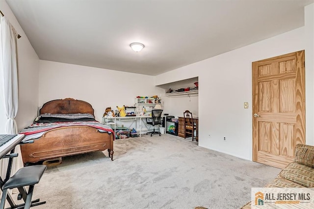 7402 Hana Rd, Edison, NJ 08817 - view of carpeted bedroom