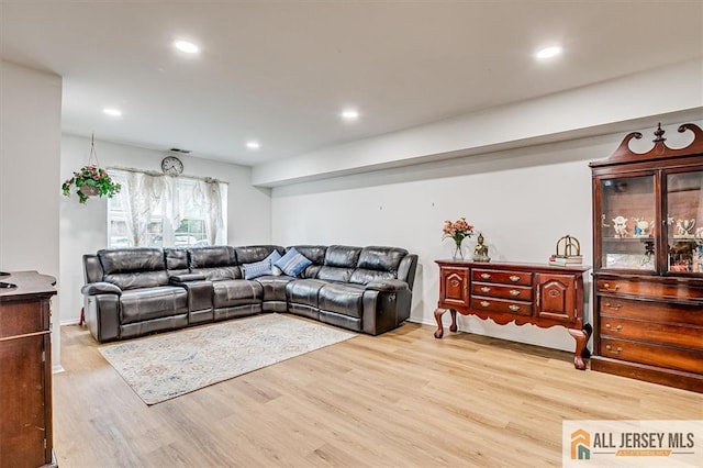 7402 Hana Rd, Edison, NJ 08817 - living area featuring light wood-style flooring and recessed lighting