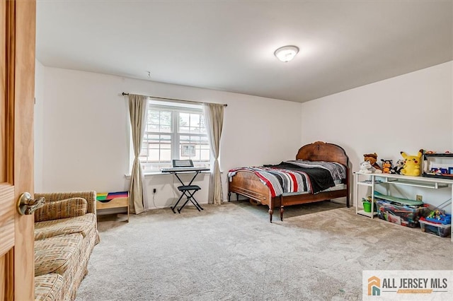 7402 Hana Rd, Edison, NJ 08817 - view of carpeted bedroom