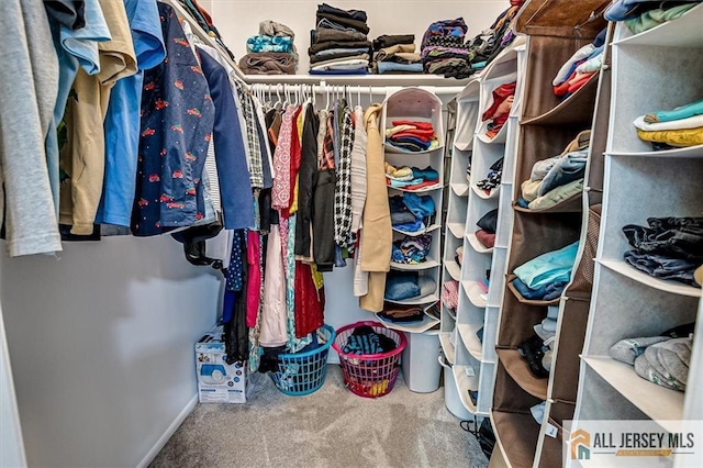 7402 Hana Rd, Edison, NJ 08817 - spacious closet with carpet flooring