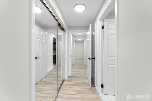 381-C Old Nassau Rd, Monroe, NJ 08831 - hallway featuring light wood-type flooring and baseboards