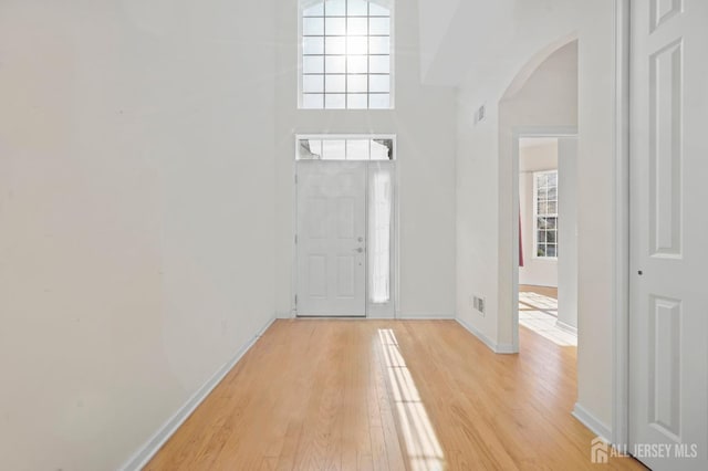 entrance foyer featuring a towering ceiling and light hardwood / wood-style floors