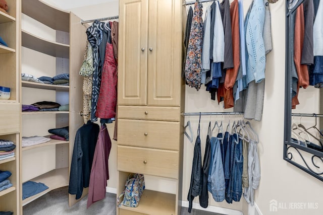 view of walk in closet