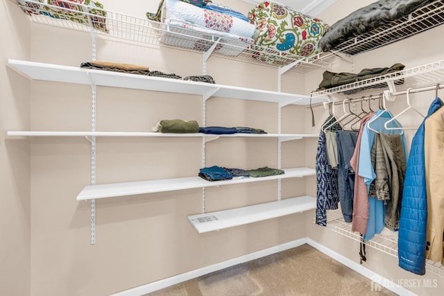 spacious closet with carpet floors