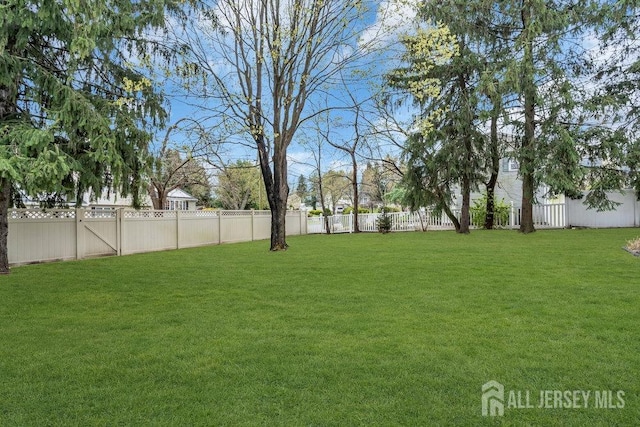 view of yard featuring a fenced backyard