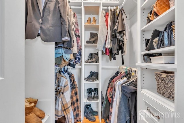 view of spacious closet