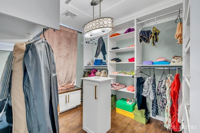 walk in closet featuring wood finished floors