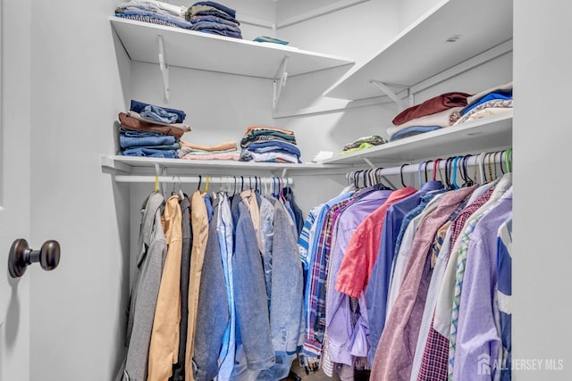 view of spacious closet