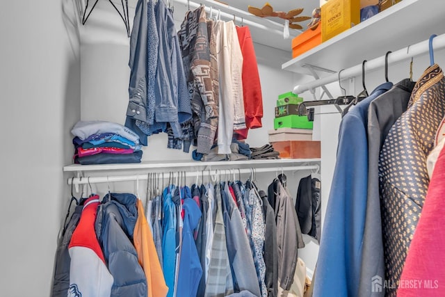 view of walk in closet