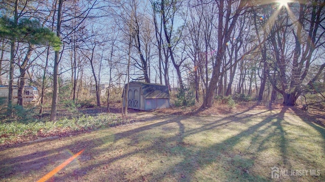 view of yard featuring a shed