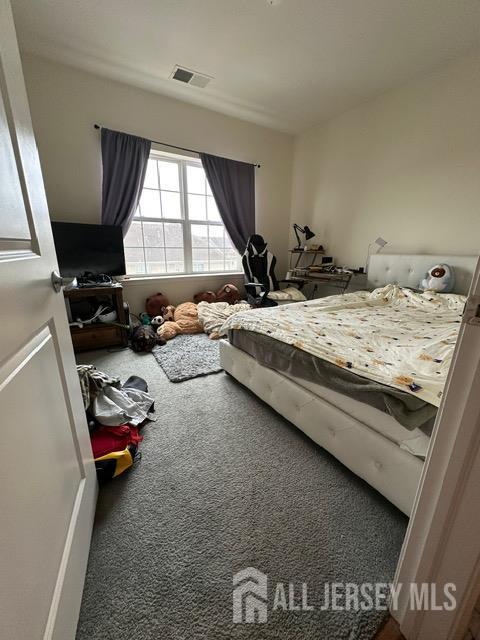 533 E Celebration Way S, Plainfield, NJ 07080 - view of carpeted bedroom
