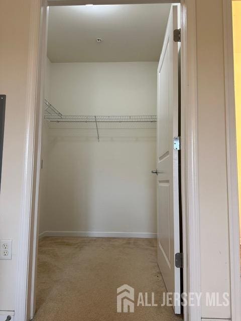 533 E Celebration Way S, Plainfield, NJ 07080 - spacious closet featuring light carpet