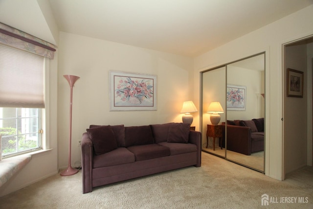 59-A Yorkshire Dr, Monroe, NJ 08831 - living area featuring carpet floors