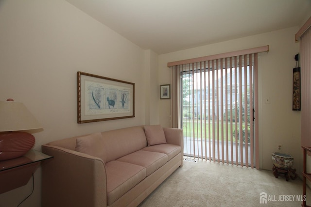 59-A Yorkshire Dr, Monroe, NJ 08831 - view of carpeted living room