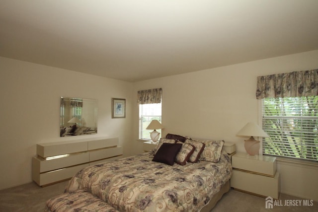 59-A Yorkshire Dr, Monroe, NJ 08831 - bedroom with light carpet