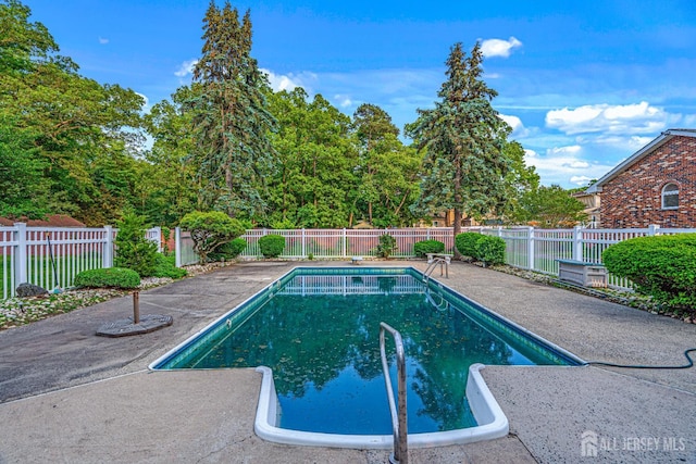 34 Brookside Ave, Old Bridge, NJ 08857 - view of pool featuring a fenced backyard and a patio area