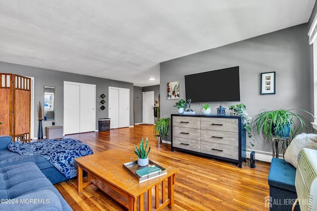 32 Woodedge Ave Unit 5, Edison, NJ 08817 - living room featuring light wood-type flooring and a baseboard radiator