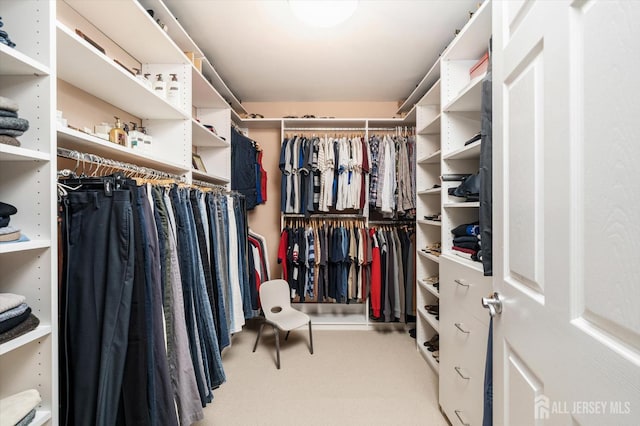 9 Bouvier Ln, South Brunswick, NJ 08816 - walk in closet featuring carpet floors