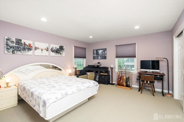 9 Bouvier Ln, South Brunswick, NJ 08816 - bedroom with carpet flooring, baseboards, and recessed lighting