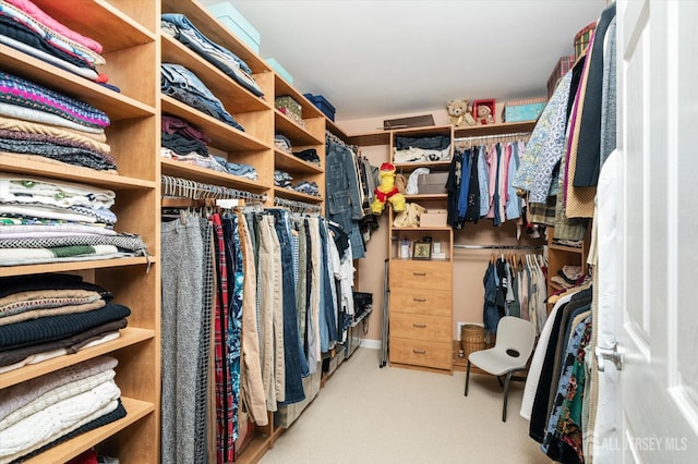 9 Bouvier Ln, South Brunswick, NJ 08816 - walk in closet with carpet