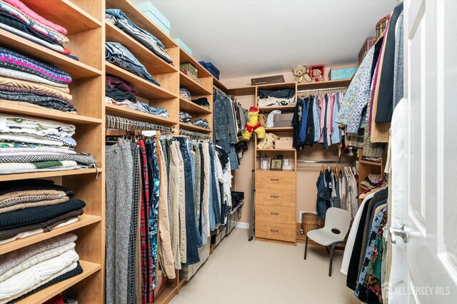 9 Bouvier Ln, South Brunswick, NJ 08816 - spacious closet with carpet floors