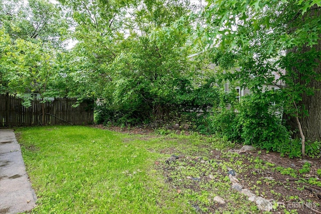 84 Kossuth St, Piscataway, NJ 08854 - view of yard