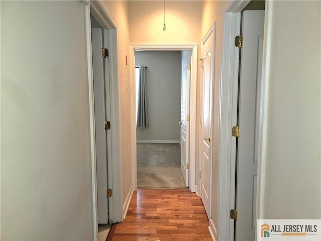 10 Honeyflower Dr, Bordentown City, NJ 08620 - photo 14