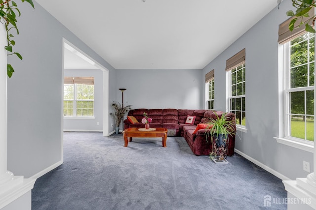 6 Garretson Dr, Franklin, NJ 08823 - carpeted living area with healthy amount of natural light and baseboards