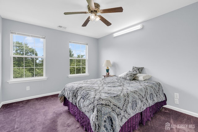 6 Garretson Dr, Franklin, NJ 08823 - bedroom with carpet, baseboards, and a ceiling fan