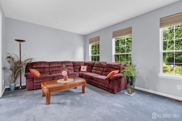 6 Garretson Dr, Franklin, NJ 08823 - living area with carpet flooring, plenty of natural light, and baseboards