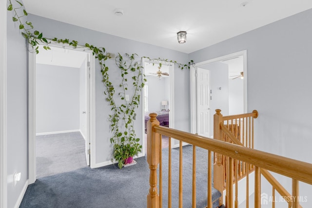 6 Garretson Dr, Franklin, NJ 08823 - corridor featuring an upstairs landing, carpet floors, and baseboards