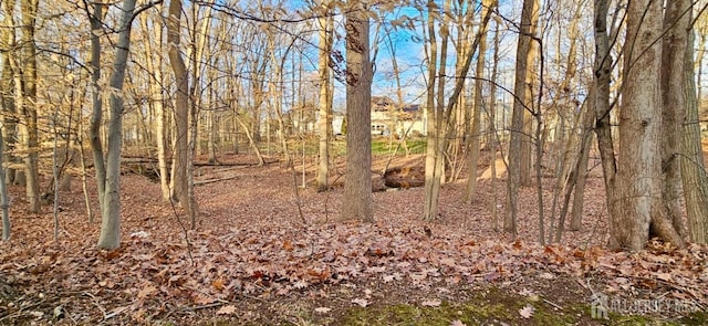 2003 Timber Oaks Rd, Edison, NJ 08820 - view of nature