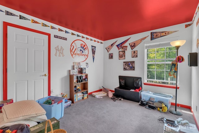 35 Spruce Meadows Dr, Monroe, NJ 08831 - playroom with carpet and baseboards