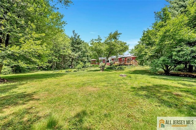 view of yard featuring a wooden deck