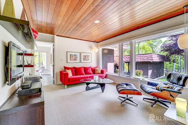 1580 Mountain Top Rd, Bridgewater, NJ 08807 - carpeted living area featuring wooden ceiling