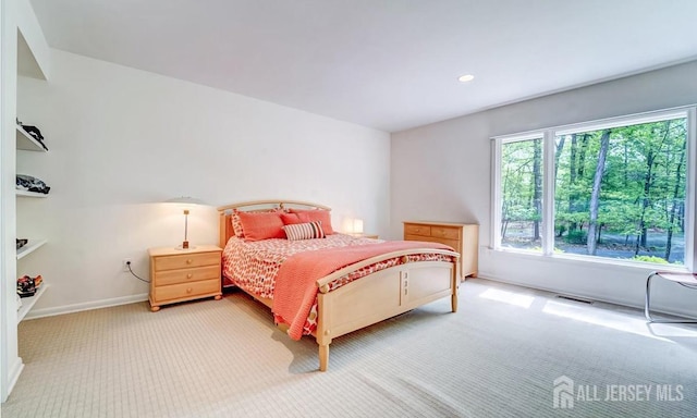 1580 Mountain Top Rd, Bridgewater, NJ 08807 - carpeted bedroom with baseboards and recessed lighting