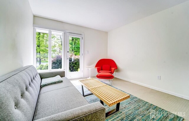 1580 Mountain Top Rd, Bridgewater, NJ 08807 - carpeted living area featuring baseboards