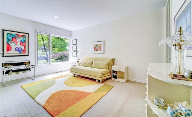 1580 Mountain Top Rd, Bridgewater, NJ 08807 - living area with light carpet and baseboards