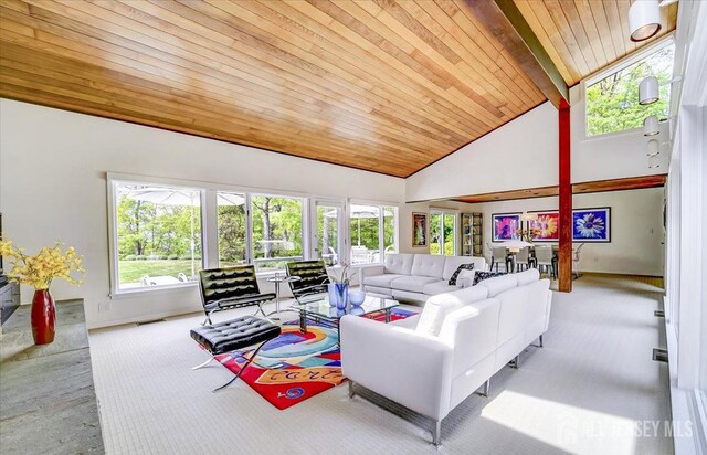 1580 Mountain Top Rd, Bridgewater, NJ 08807 - living area with carpet floors, healthy amount of natural light, wood ceiling with exposed beams, high vaulted ceiling, and baseboards