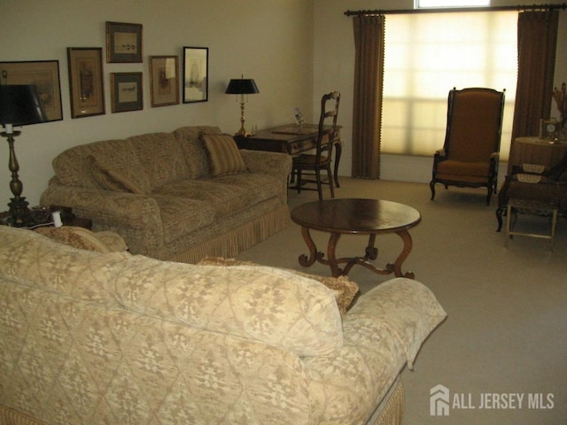 living room with carpet