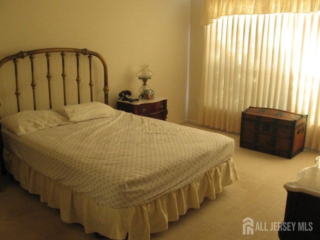 bedroom with carpet floors