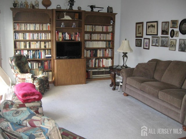 living room featuring carpet