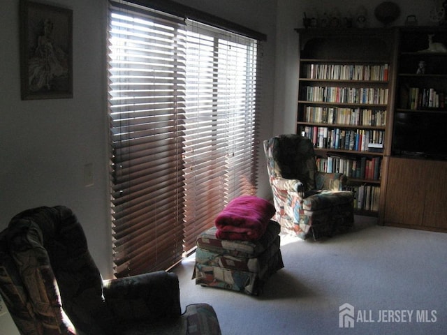 living area featuring carpet floors