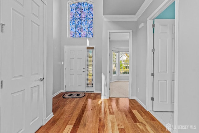 entrance foyer with crown molding, baseboards, and wood finished floors