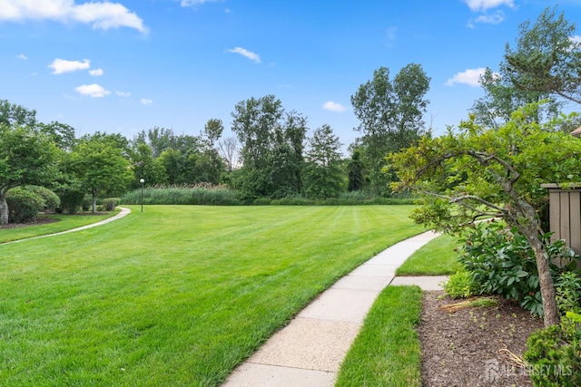 348 Westgate Dr, Edison, NJ 08820 - photo 4