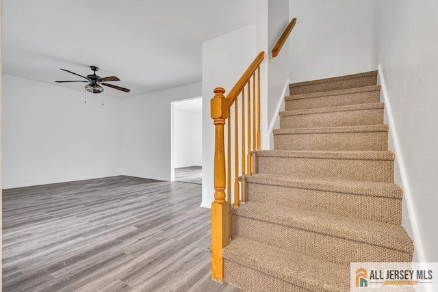 17 Begonia Ct, Sayreville, NJ 08872 - stairway featuring wood finished floors and a ceiling fan