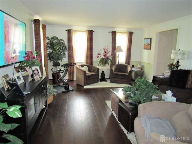 30-N Bradford Ln, Monroe, NJ 08831 - living room with ornamental molding and dark wood finished floors