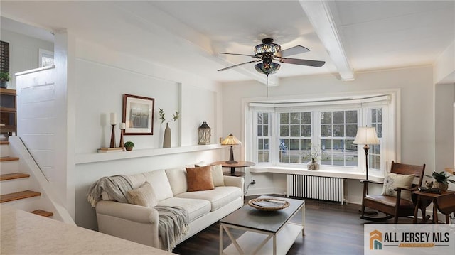 living room with baseboards, ceiling fan, beam ceiling, radiator, and wood finished floors