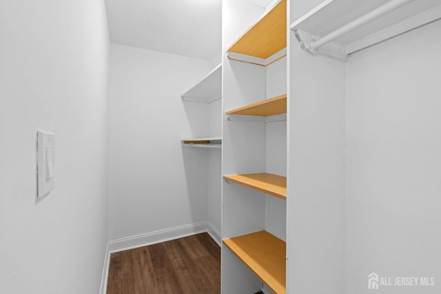 walk in closet with dark wood-type flooring